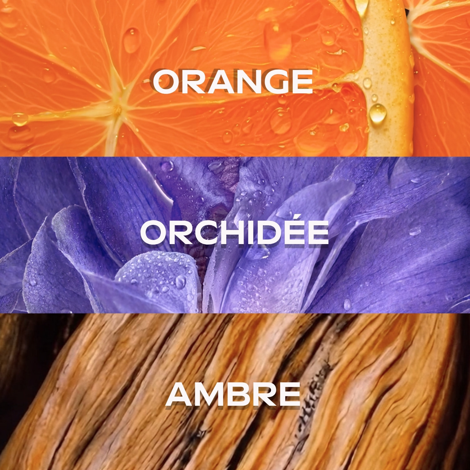 WELEDA - Brume parfumée corps & cheveux Mystic Aura 95ml - Brume Corps & Cheveux au parfum irresistible et envoutant - Rafraîchit la peau et les cheveux