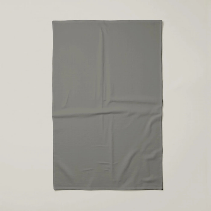 Lot de 2 torchons de cuisine 100% coton Harvard Antracita