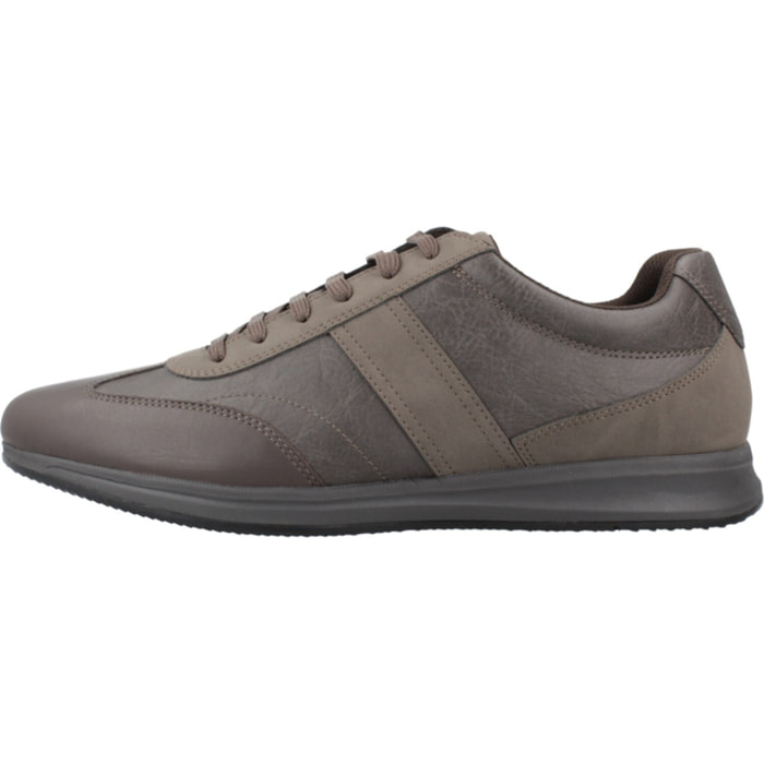 Sneakers de  Hombre de la marca GEOX  modelo U AVERY MARRON