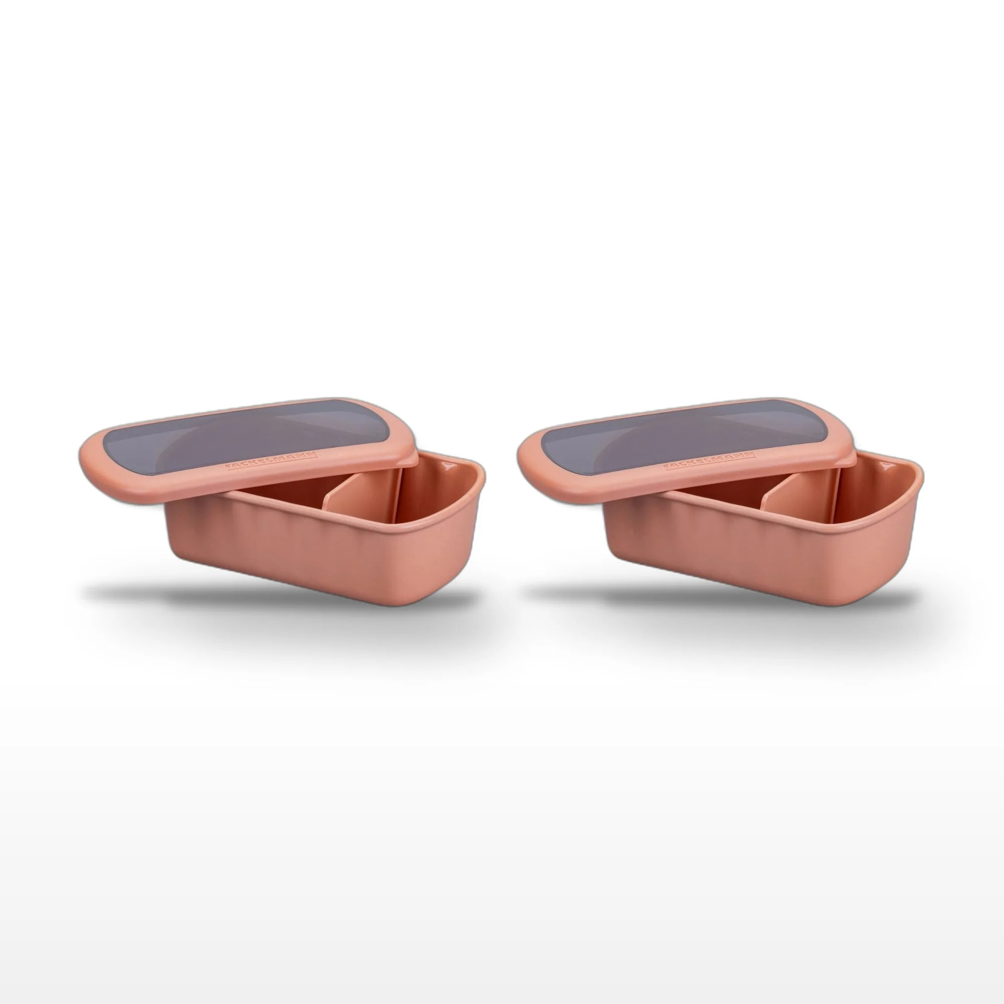 Lot de 2 Lunchbox Terracotta Fackelmann Storage