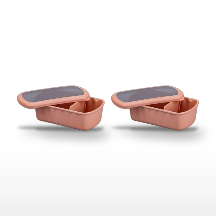Lot de 2 Lunchbox Terracotta Fackelmann Storage