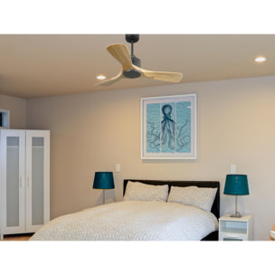 Ventilateur de plafond Réversible  Thermostat Wifi Moteur à courant continu Toits en pente Télécommande Hypersilence Mémoire