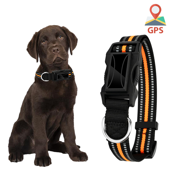 Localizzatore GPS speciale per cani e animali domestici. BDS+LBS+AGPS. Collare da 40 a 64 cm di diametro, riflettente.