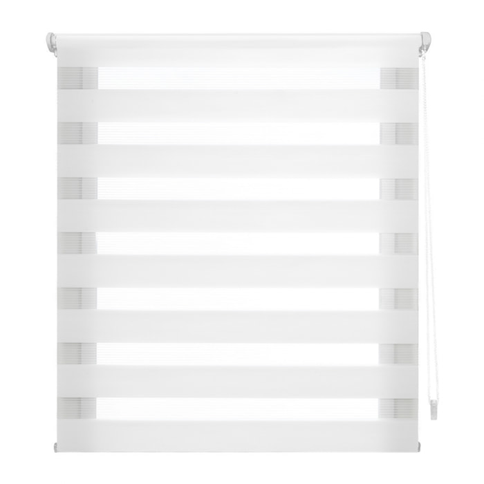 Store enrouleur Polyester Translucide Multicolore