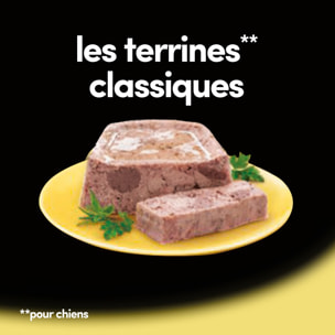 CESAR Barquette poulet en terrine pour chien (20x300g)