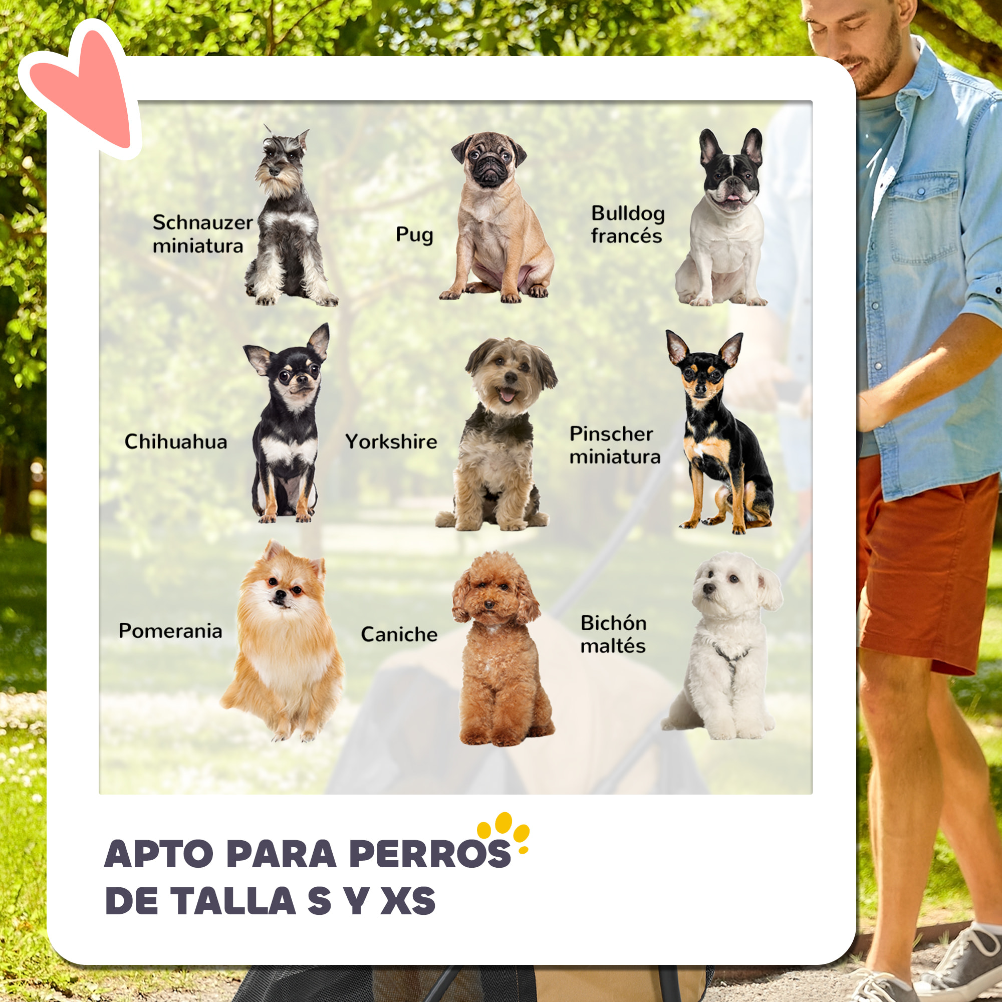 PawHut Carrito para Perros Plegable Cochecito para Mascotas Cochecito para Perros Pequeños con Ventanas de Malla Cojín Lavable Correas de Seguridad y Marco de Acero Café