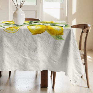 Nappe anti-taches 100% coton Damiano