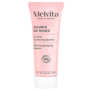 Source de Roses - Crème Hydra-repulpante