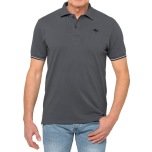 Polo Hot Buttered Lizard con righine grigio.