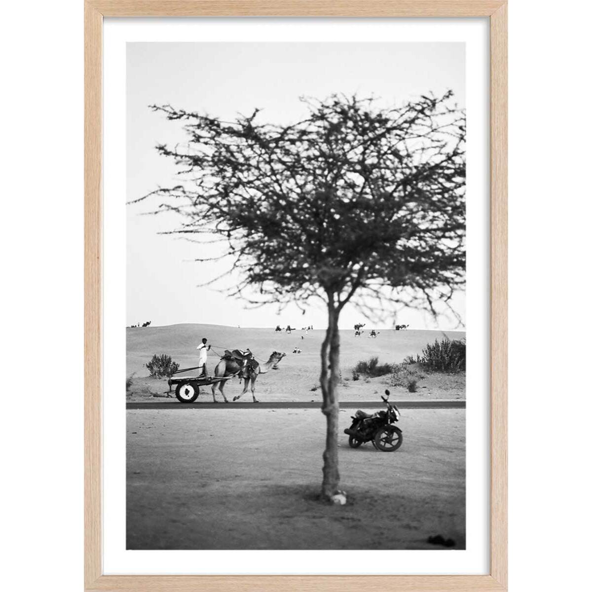 Poster photo paysage ""jaisalmer, rajasthan"" Affiche + cadre en bois - Chêne