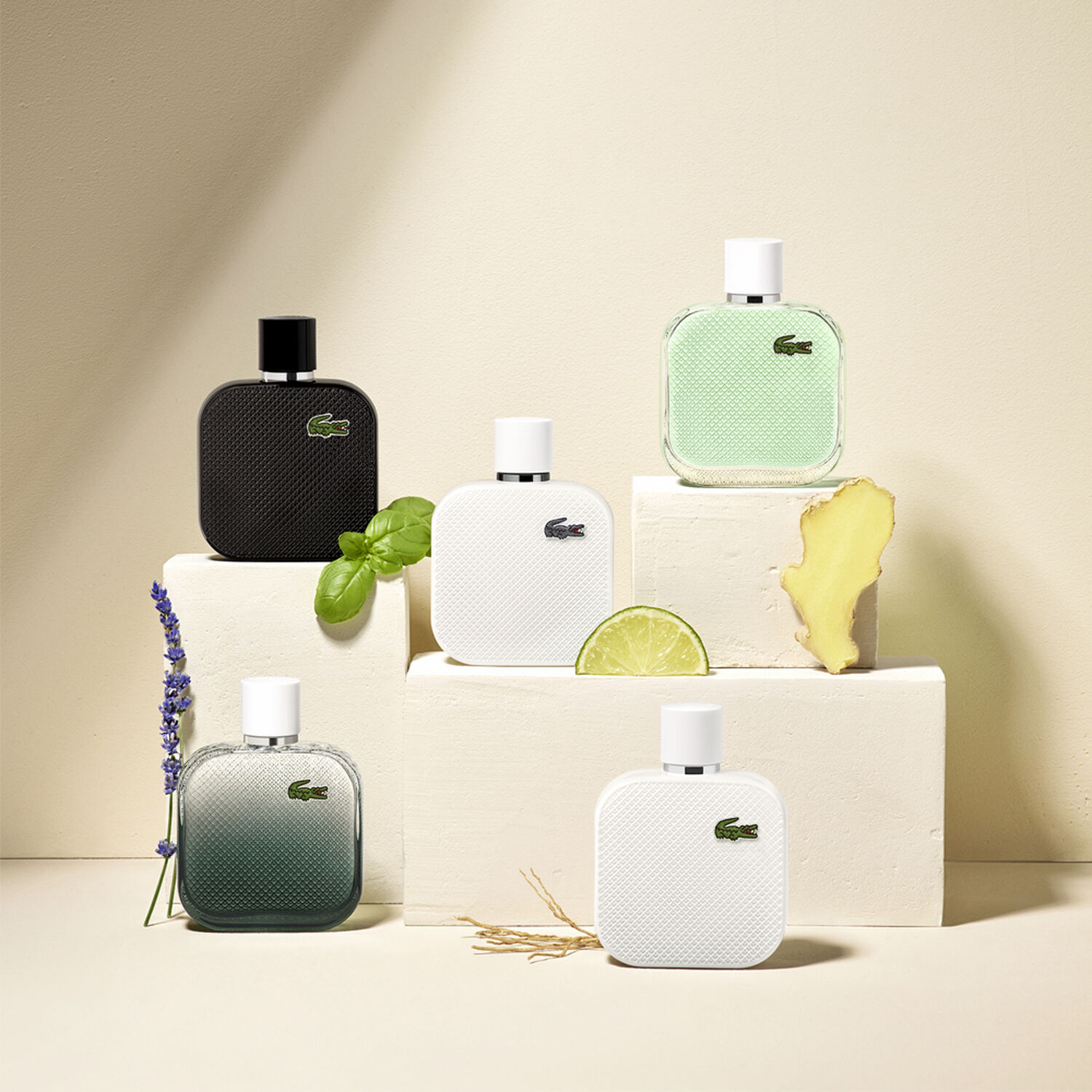 L.12.12 Blanc Eau Intense - Eau de Toilette