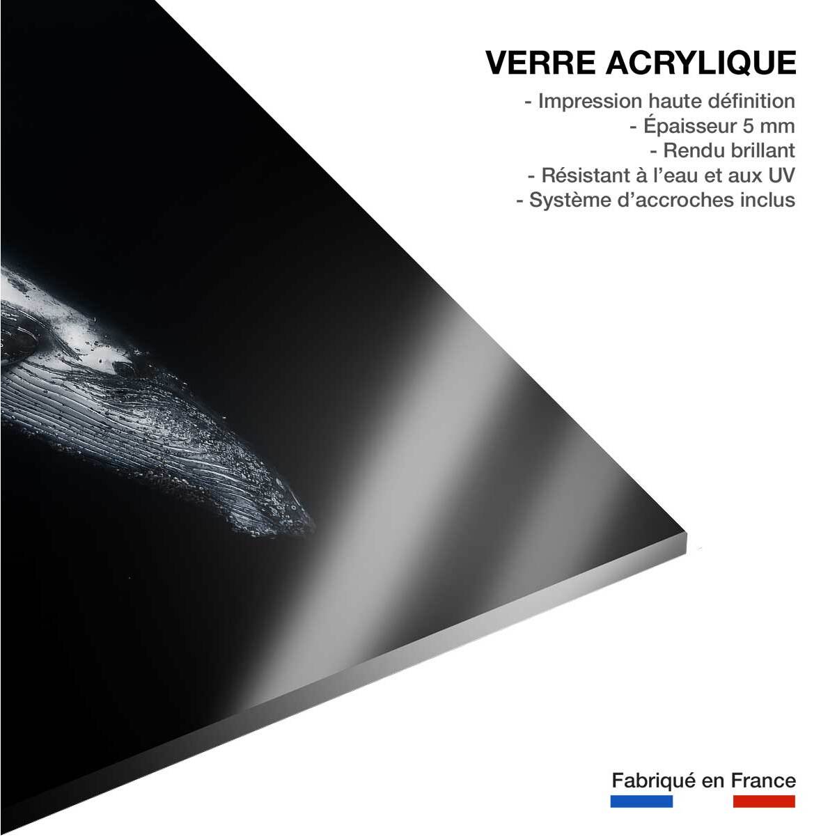 Tableau baleine baleine noire  Tableau plexiglas