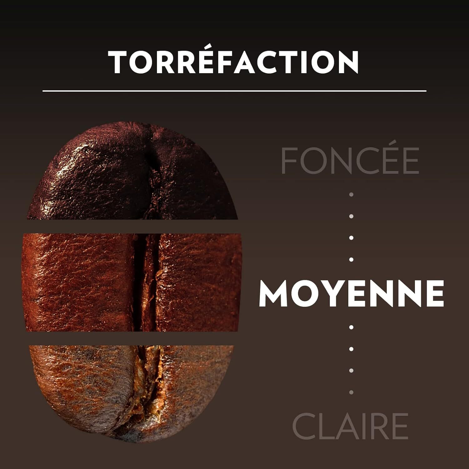 Grains Maestro Bio 1kg certifié Bio 100% arabica