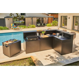 Chariot Plancha FORGE ADOUR DRPAF N Noir Roulant Acier Fermé  colmpatible plancha 80 cm DRPAF N Roulant Plancha Acier Fermé Noir