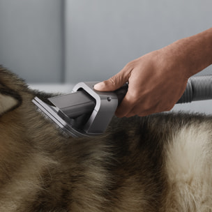 Dyson Accessori | Kit per la cura degli animali