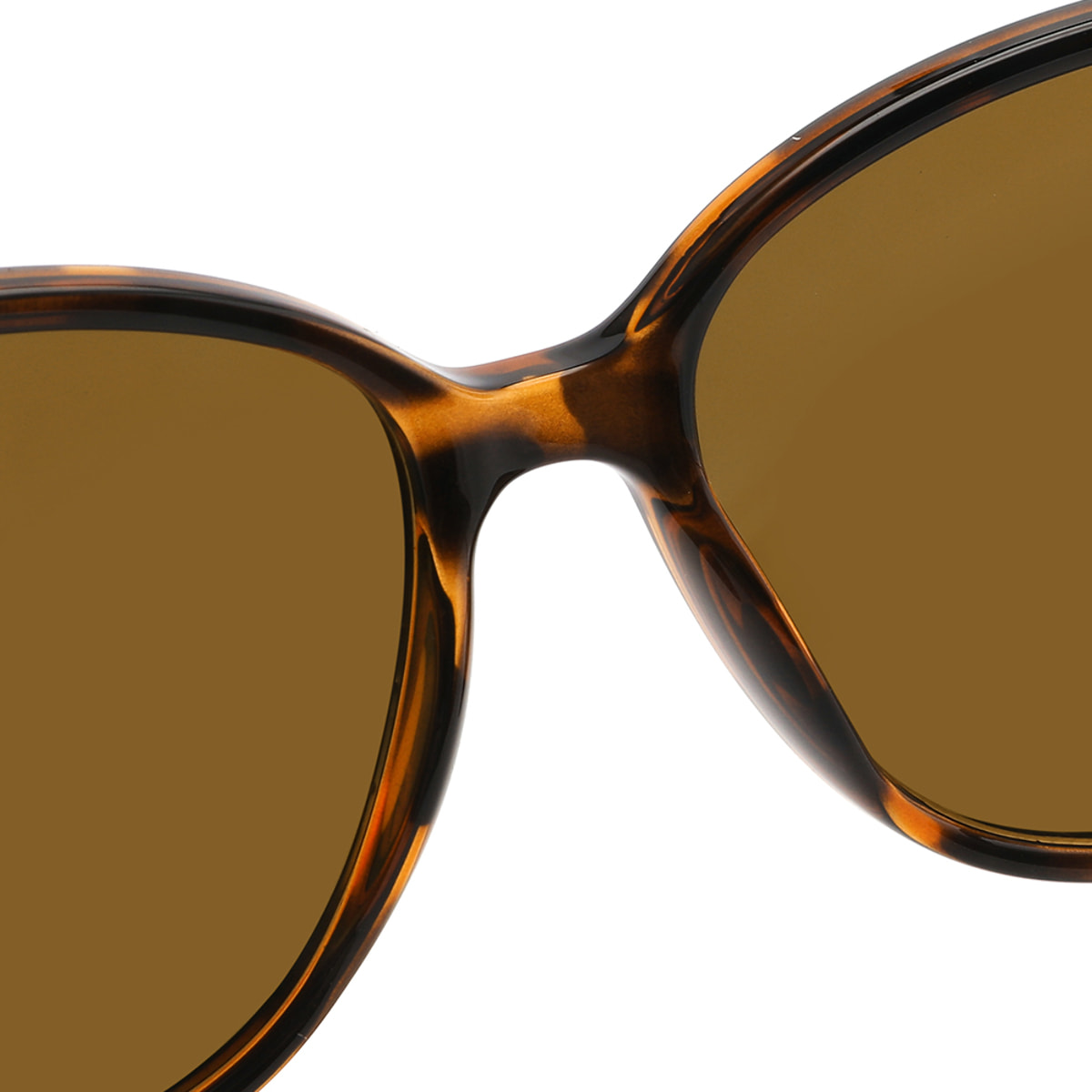 Gafas de Sol Sexton TK00127 - C2 - 24 de Acetato Inyectado Mujer 52 mm