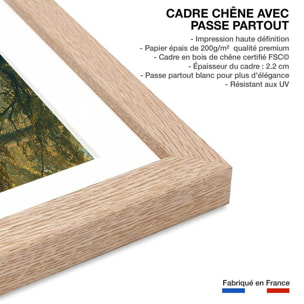 Affiche sous-bois en octobre Affiche + cadre en bois - Chêne