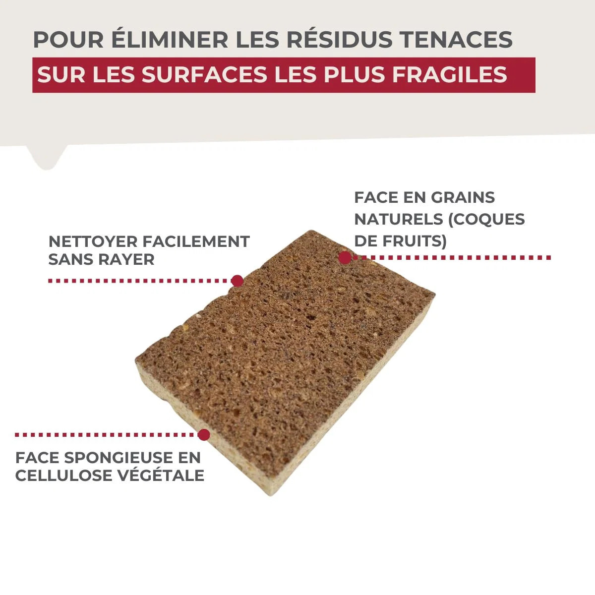 Éponge Végétale Multi-Surfaces fragiles Fackelmann Tecno