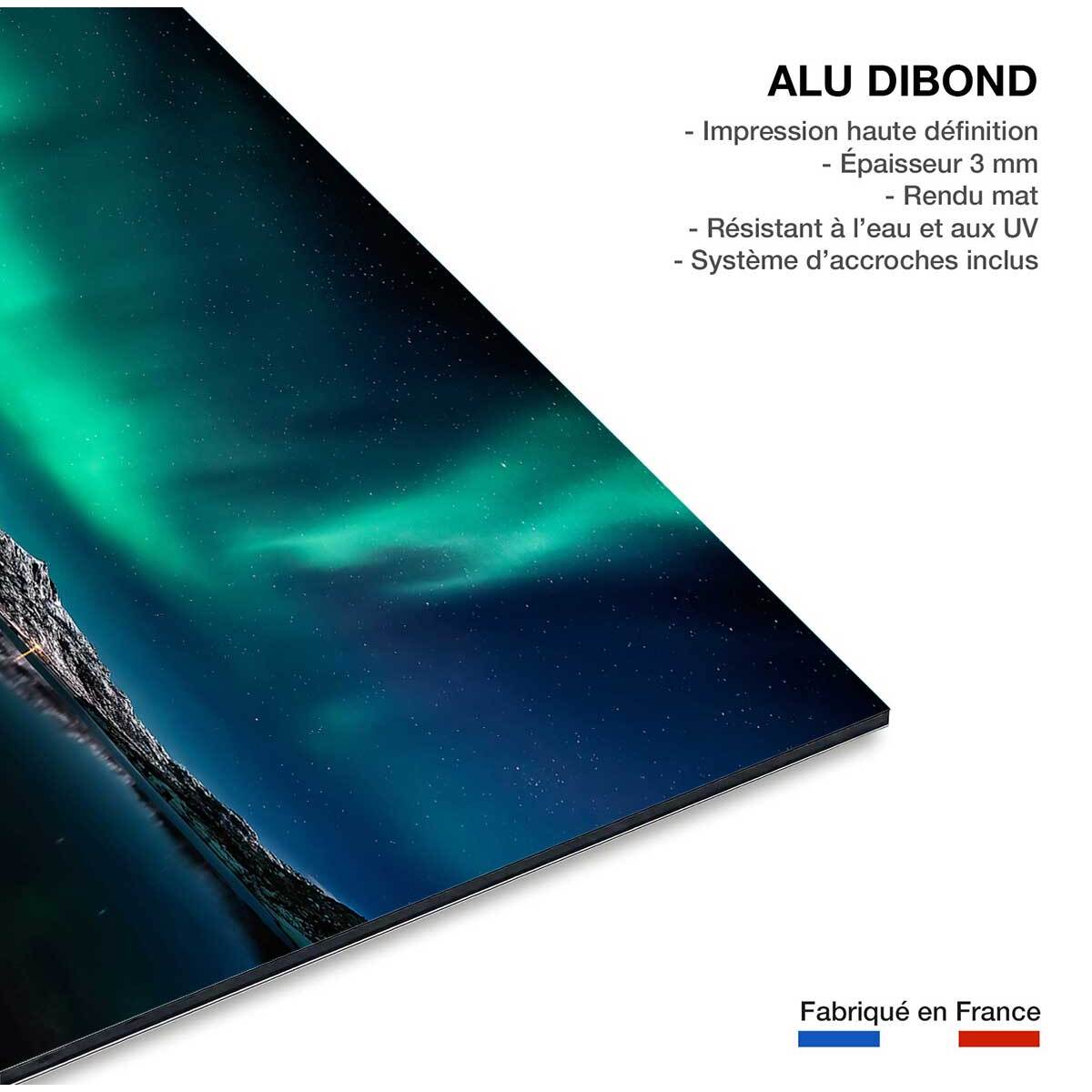 Tableau Lofoten aurora Tableau alu Dibond