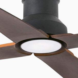 WINCHE M LED ventilatore da soffitto marrone DC