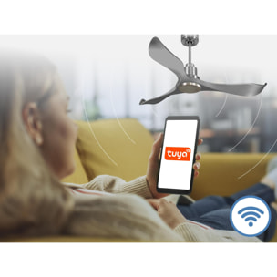 Ventilateur de plafond Réversible  Thermostat Wifi Moteur à courant continu Toits en pente Télécommande Hypersilence Mémoire Shopify Vendible (AUTOMATIQUE)