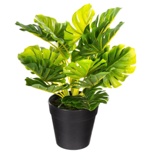 Plante artificielle - pot en ciment - H30 cm