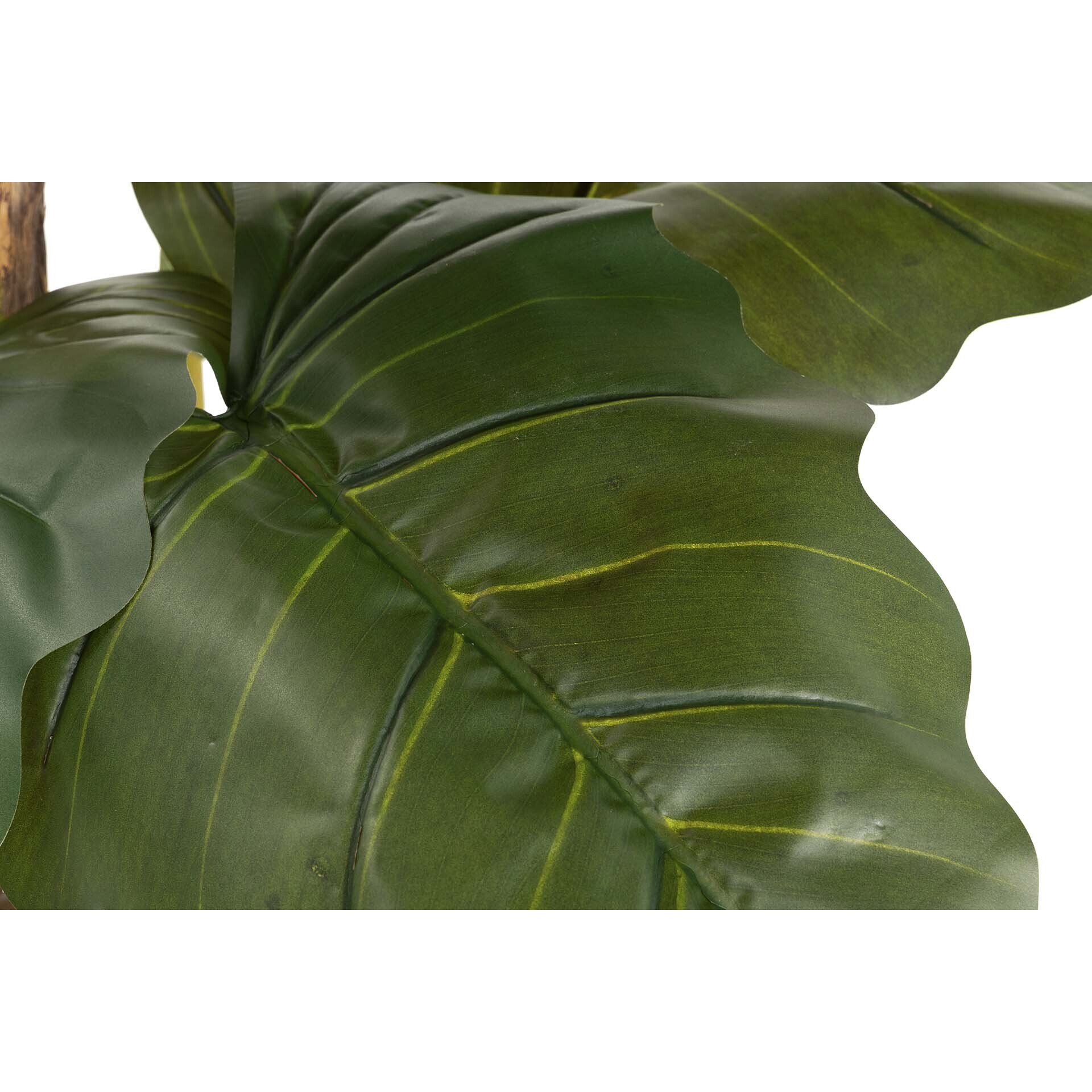 Planta Colocasia Esculenta 150x150x220 Cm