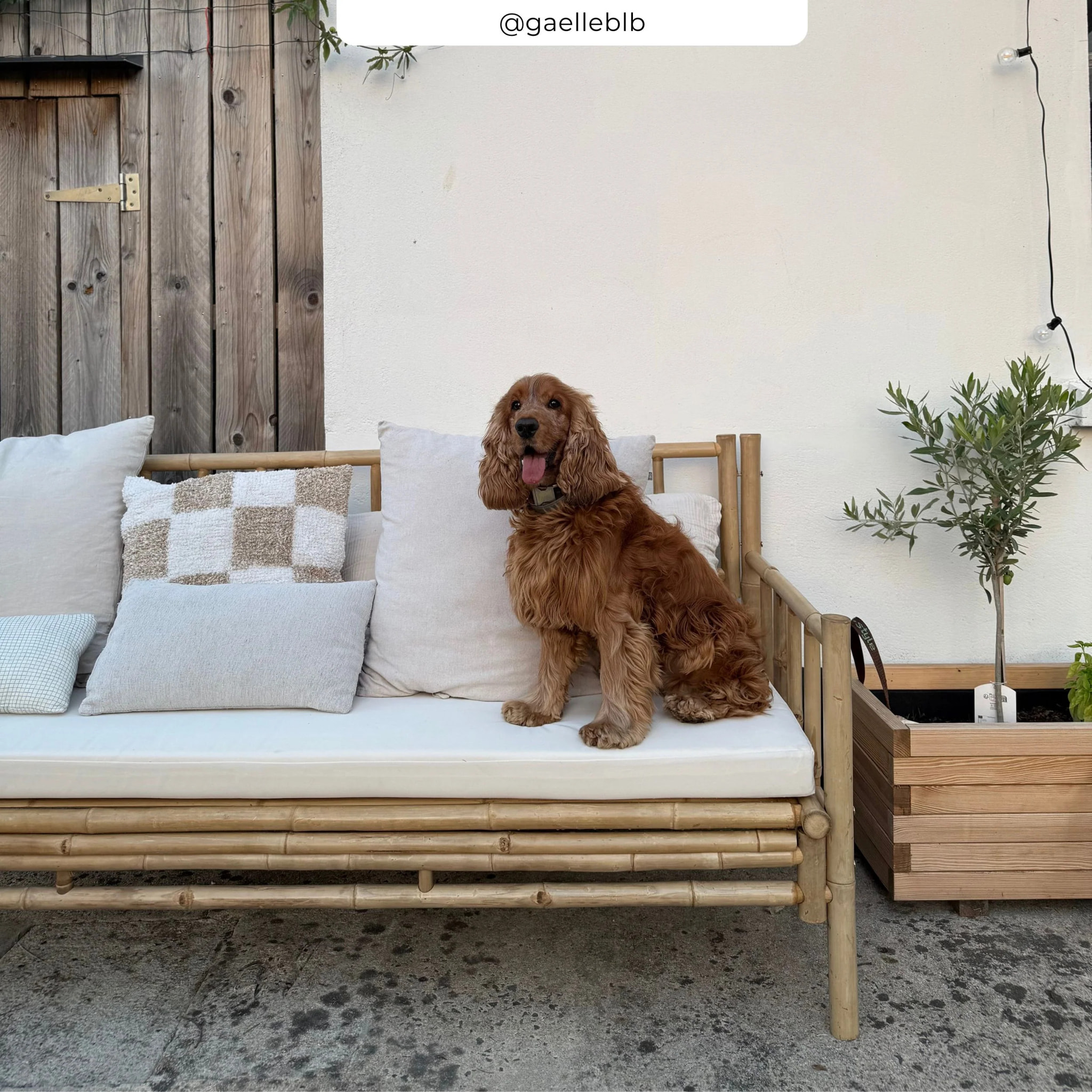 Canapé de jardin blanc 3 places en bambou naturel - Vadella