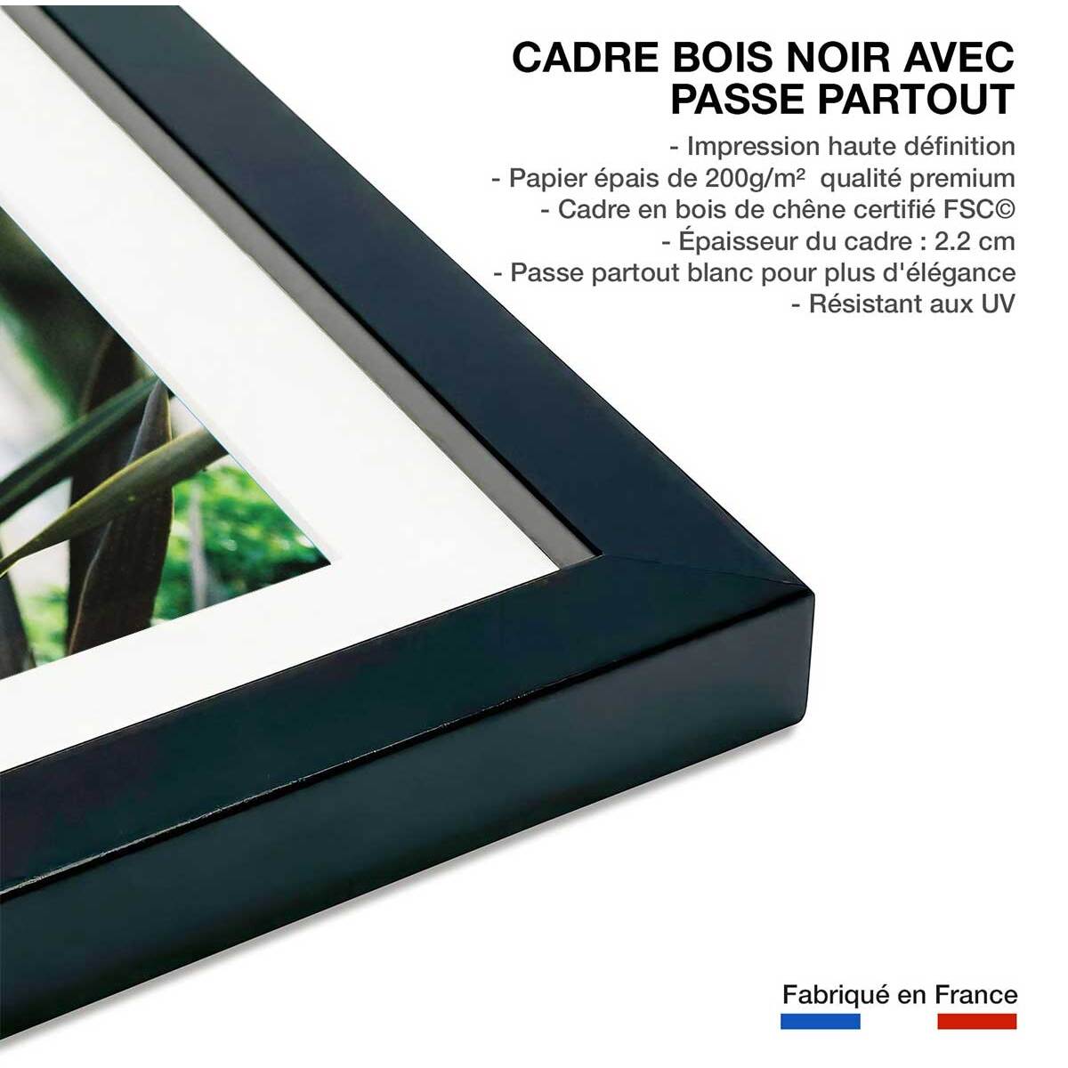 Affiche fleur de yucca et forêt tropicale Affiche + cadre en bois - Noir