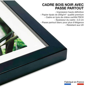 Affiche fleur de yucca et forêt tropicale Affiche + cadre en bois - Noir