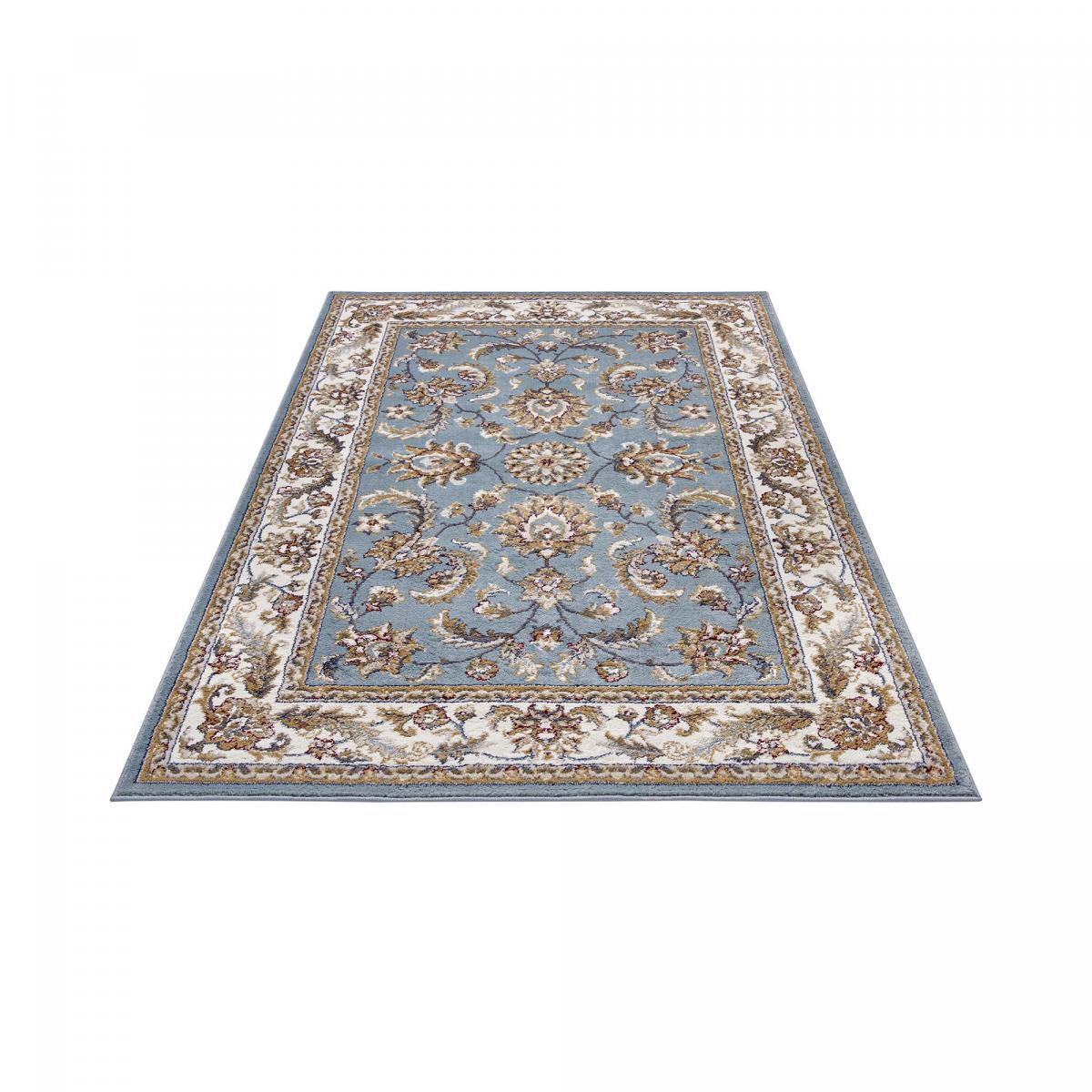 Tapis salon Rectangulaire Oriental