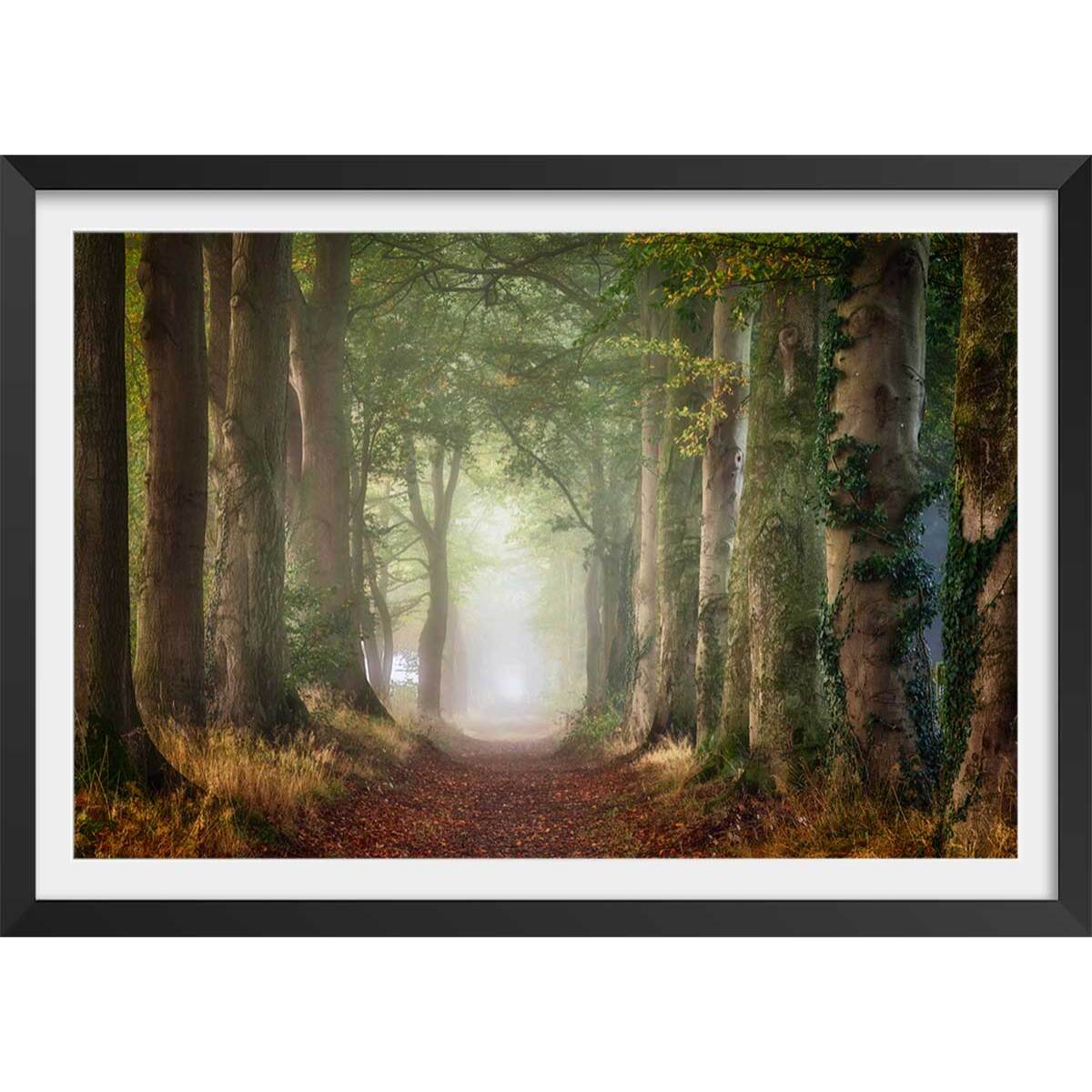 Affiche paysage sur le chemin Affiche + cadre en bois - Noir