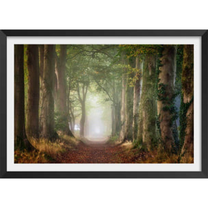 Affiche paysage sur le chemin Affiche + cadre en bois - Noir