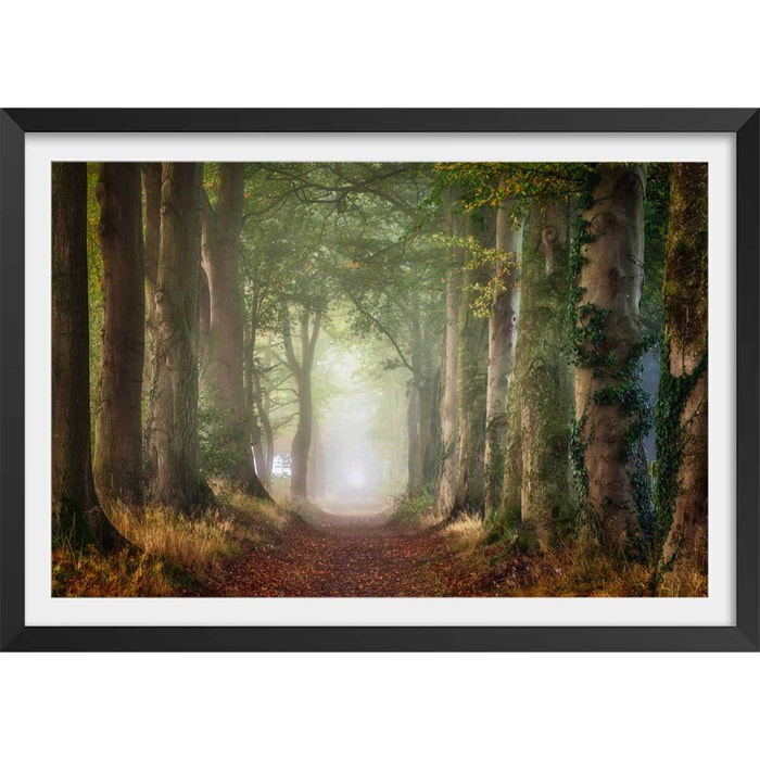 Affiche paysage sur le chemin Affiche + cadre en bois - Noir