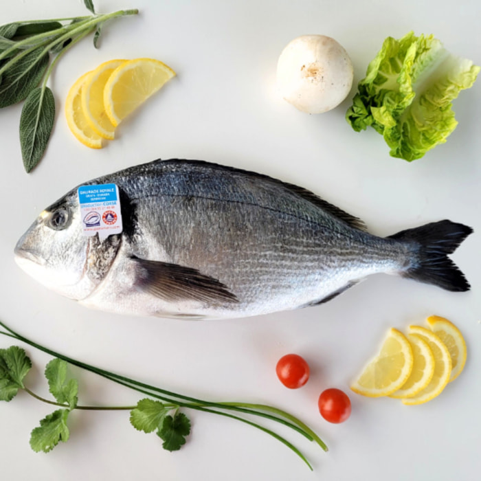 2 Dorades Corse - grillé et vidé - 2x600g - France - Vives Eaux