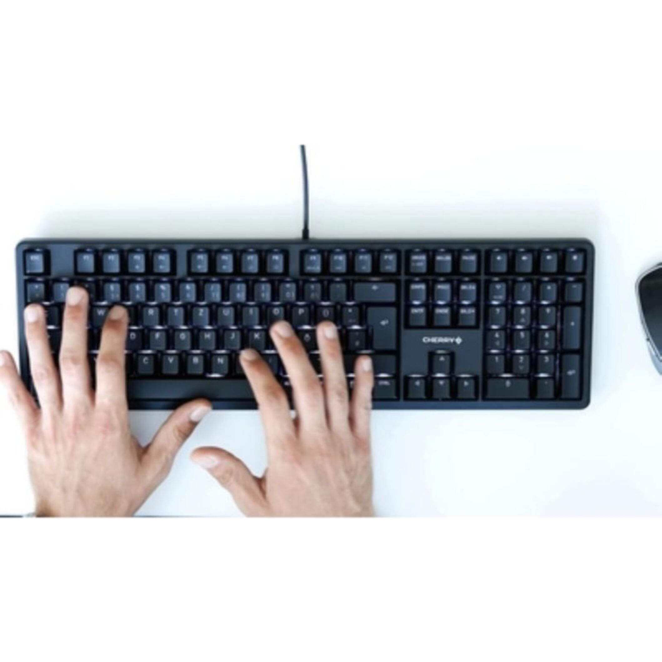 Clavier filaire CHERRY G80-3000N RGB CORDED