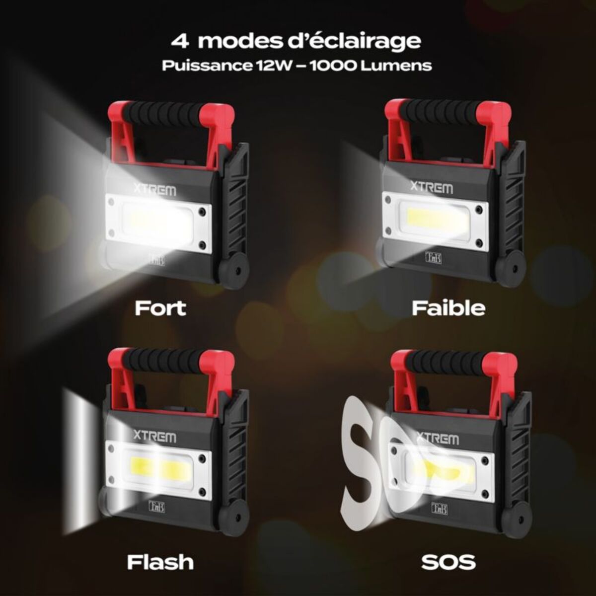 Batterie externe TNB Lampe extérieure noir