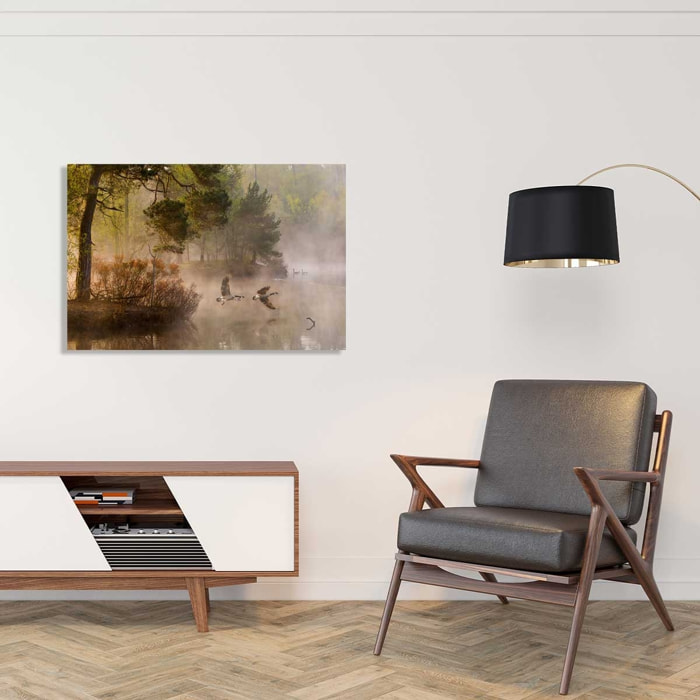 Tableau oies sauvages Tableau alu Dibond