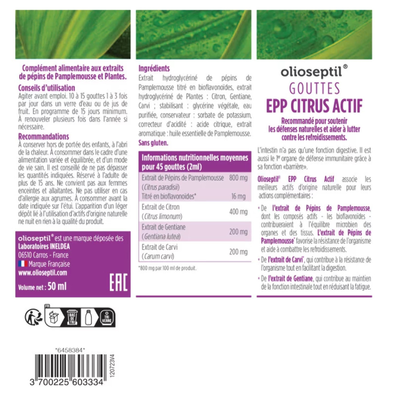 OLIOSEPTIL - Extrait de Pépins de Pamplemousse en Gouttes Citrus Actif - EPP + Plantes Origine 100% Naturelle - Contribue à la Résistance de l'Organisme - Flacon de 50 ml