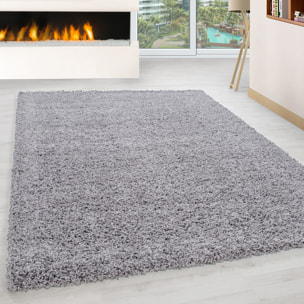OTTAWA - Tapis shaggy uni Gris clair
