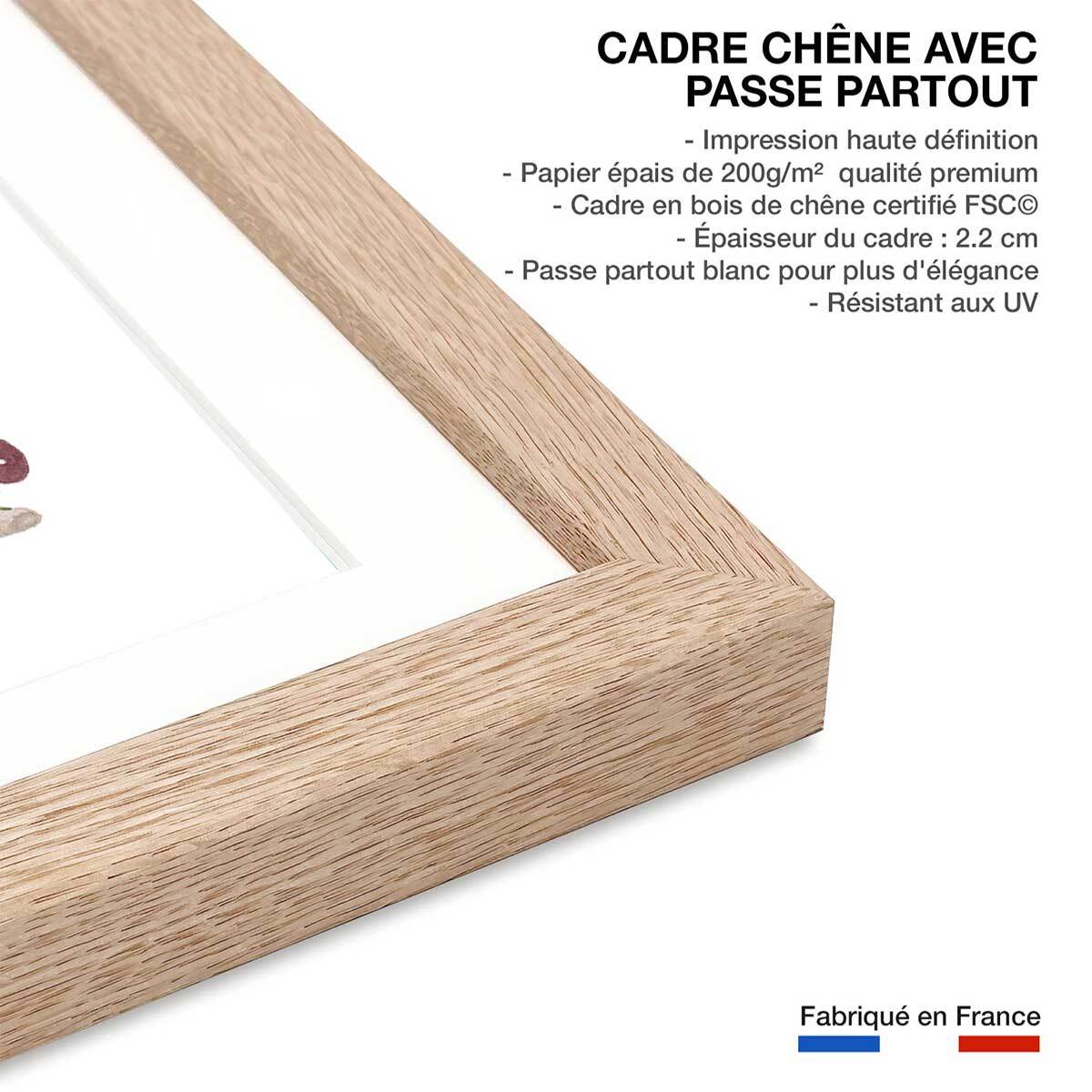 Affiche enfant les trésors de la forêt  Affiche sous cadre bois