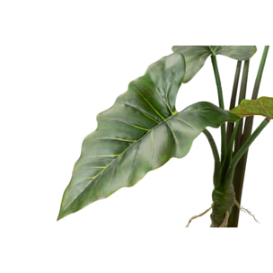 Arbol Alocasia Sarian Con Maceta 80x80x95 Cm