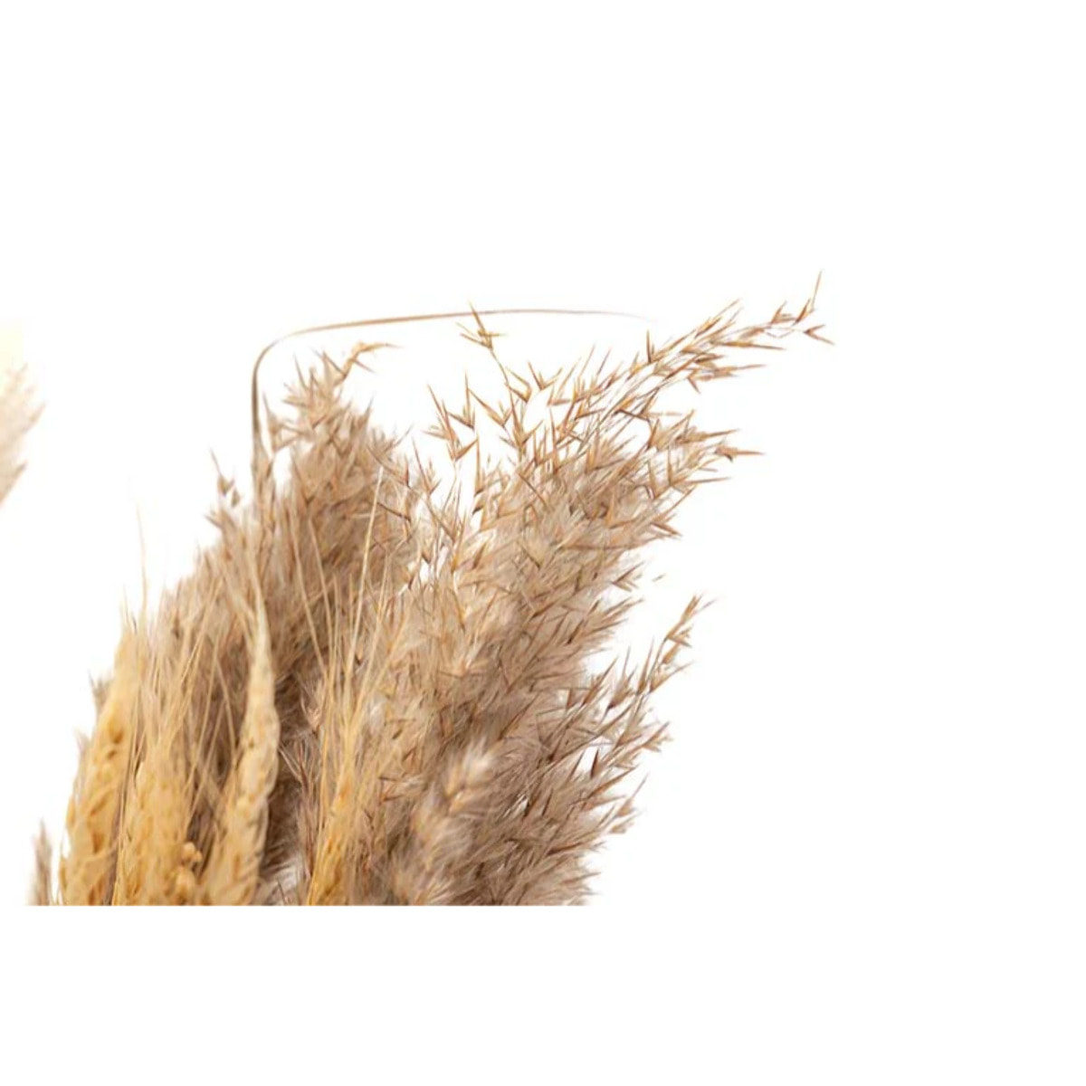 Bouquet Flores Silverestres Preservadas 26x15x43cm