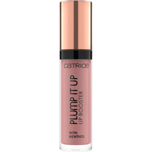 Plump It Up Lip Booster - Gloss Effet Repulpant Fini Ultra-brillant