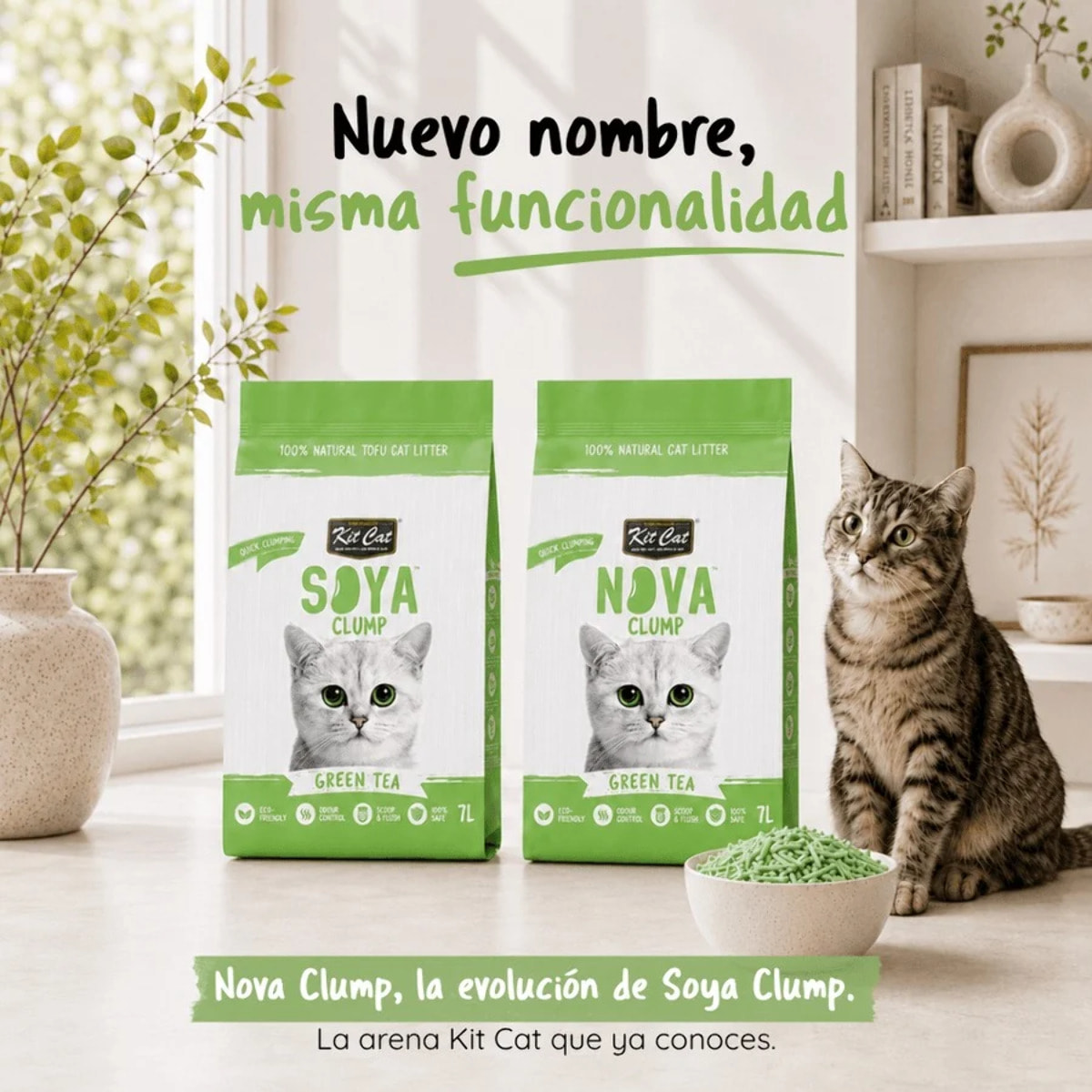 Kit Cat Nova Pack Ahorro 12 - Green Tea 7 L Arena Vegetal para gatos