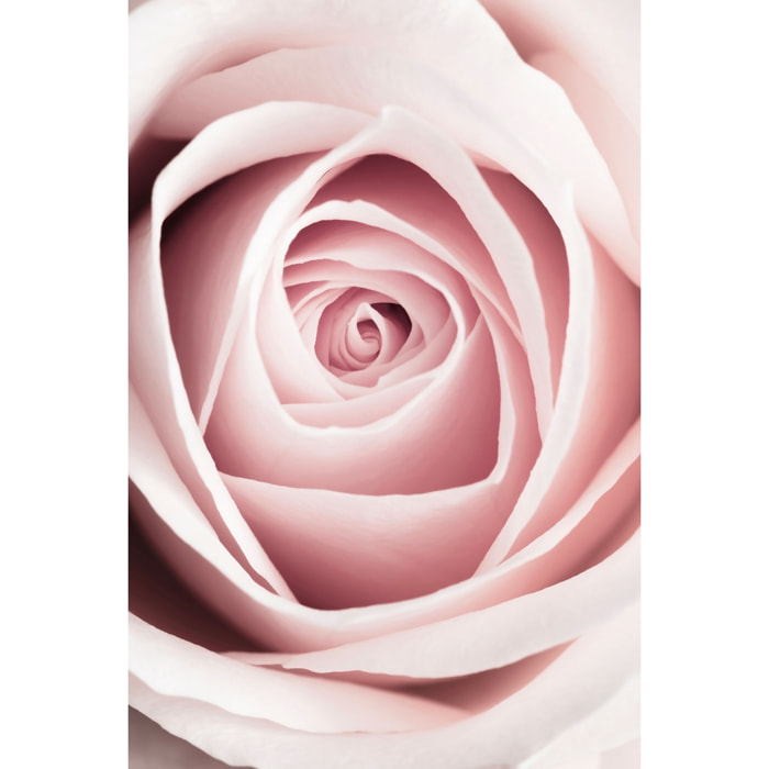 Tableau coeur de roses Toile imprimée