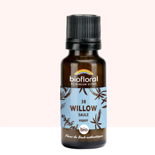 Biofloral - 38 Willow, Saule - Bio - 19,5 gr