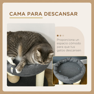 Árbol Rascador para Gatos Pequeño Torre para Gatos Centro de Actividades para Gatitos con Nido 4 Bolas y Poste de Sisal Carga 15 kg Ø40x48 cm Gris y Beige