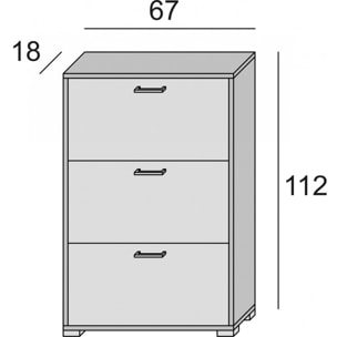 Scarpiera Iris, Mobile multiuso da ingresso con 3 ante a ribalta, Armadietto portascarpe moderno, 100% Made in Italy, Cm 67x18h112, Larice