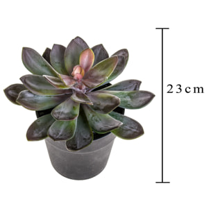 Succulent Con Vaso. Altezza 20 Cm - Pezzi 1 - 22X20X22cm - Colore: Altro - Bianchi Dino - Piante Artificiali